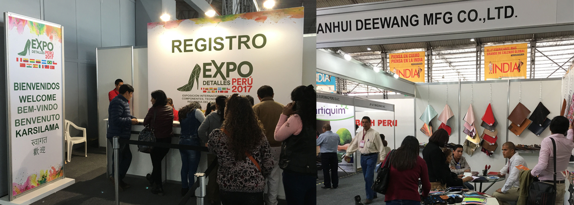 ANHUI DEEWANG at THE DETALLES EXPO PERU 2017